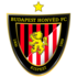 Budapest Honved logo